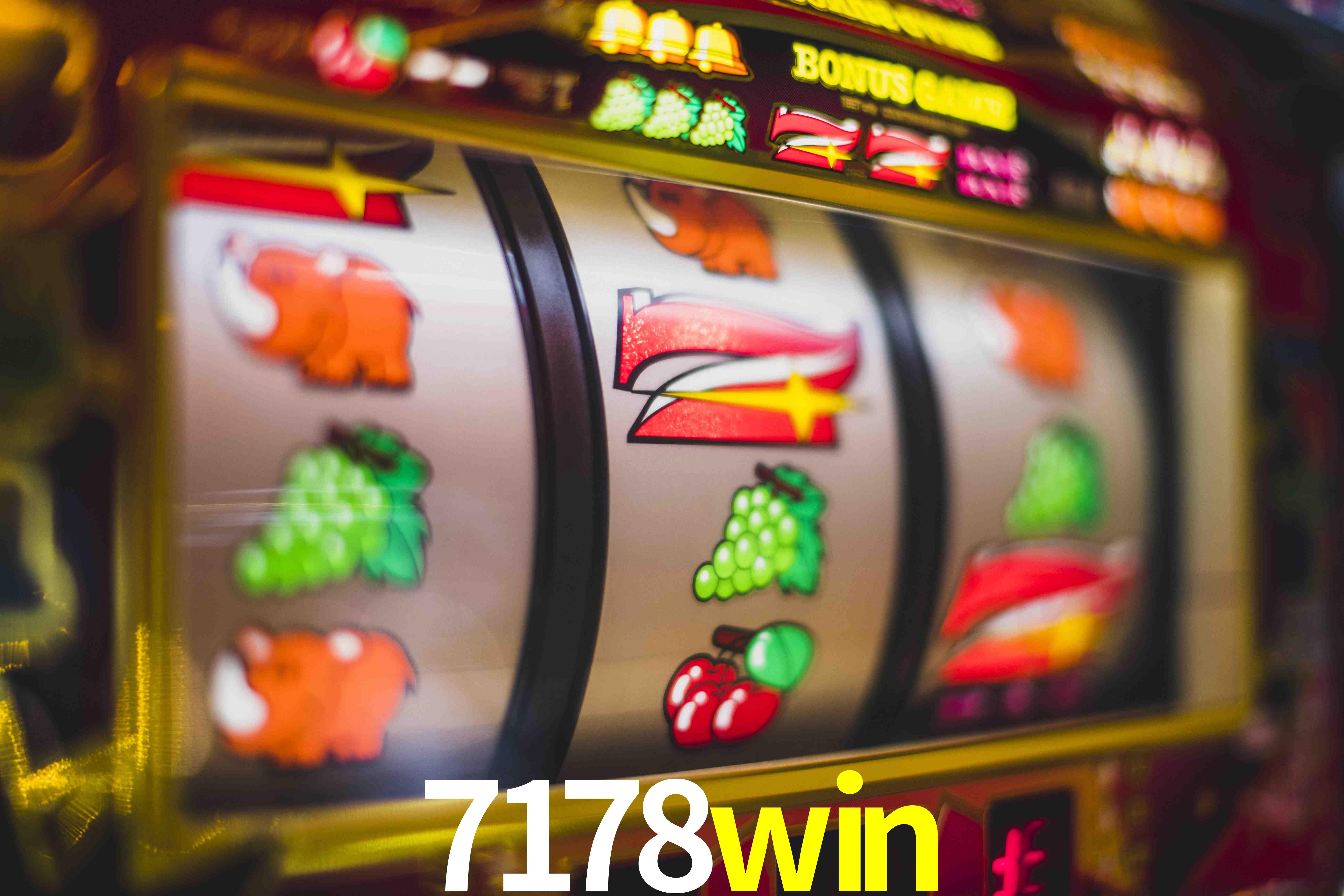 Statistics 7178win